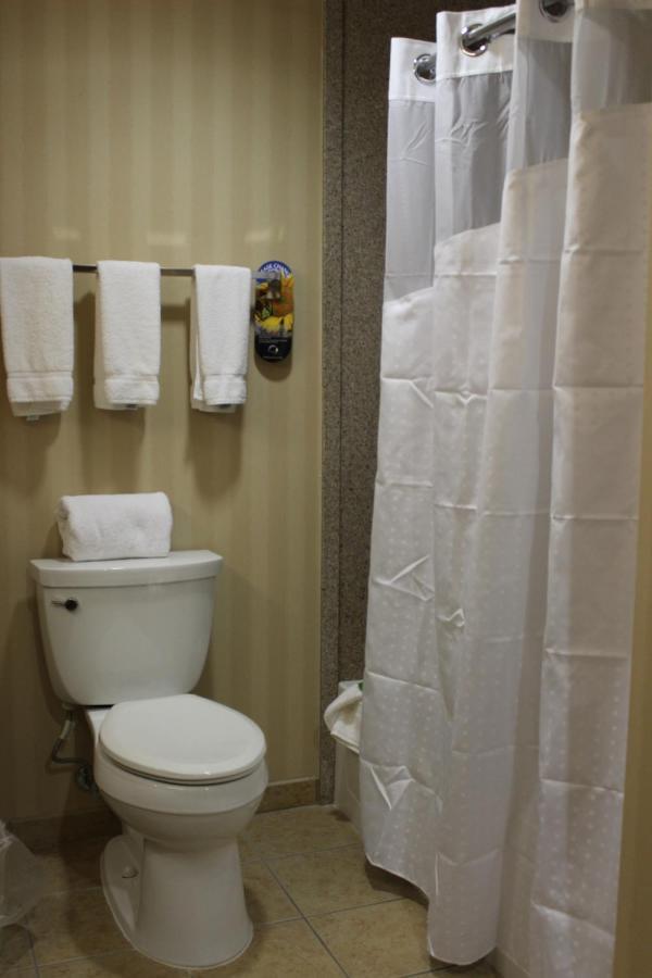 Holiday Inn Express Tehachapi By Ihg Habitación foto